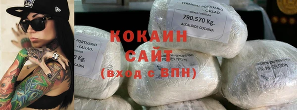 прущие грибы Кулебаки