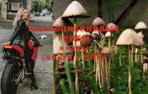 МДПВ Абинск