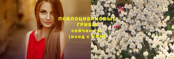 ALPHA PVP Краснослободск