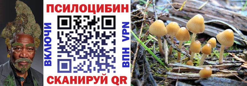 это телеграм  Касли  Псилоцибиновые грибы Magic Shrooms 
